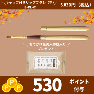 キャップ付リップブラシ （平）【正規品】B-PL-01