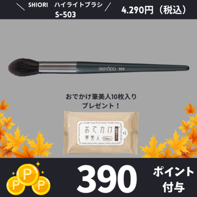 ハイライトブラシ　S-503
