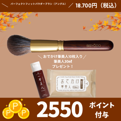 NEW　パーフェクトフィットパウダーブラシ（アングル）