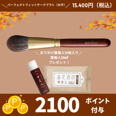 NEW　パーフェクトフィットチークブラシ（丸平）