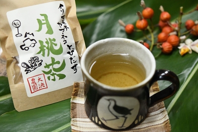 西表島産月桃茶 | 大浜農園ネットショップ