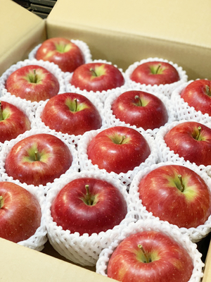 ジョナゴールド5㎏