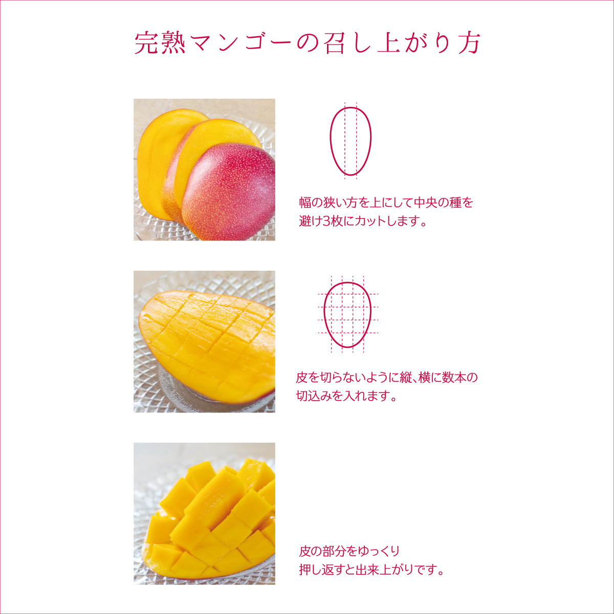 完熟マンゴー　サイズミックス　L.M.S マンゴー」をお取り寄せ｜美味お取り寄せ。dancyu