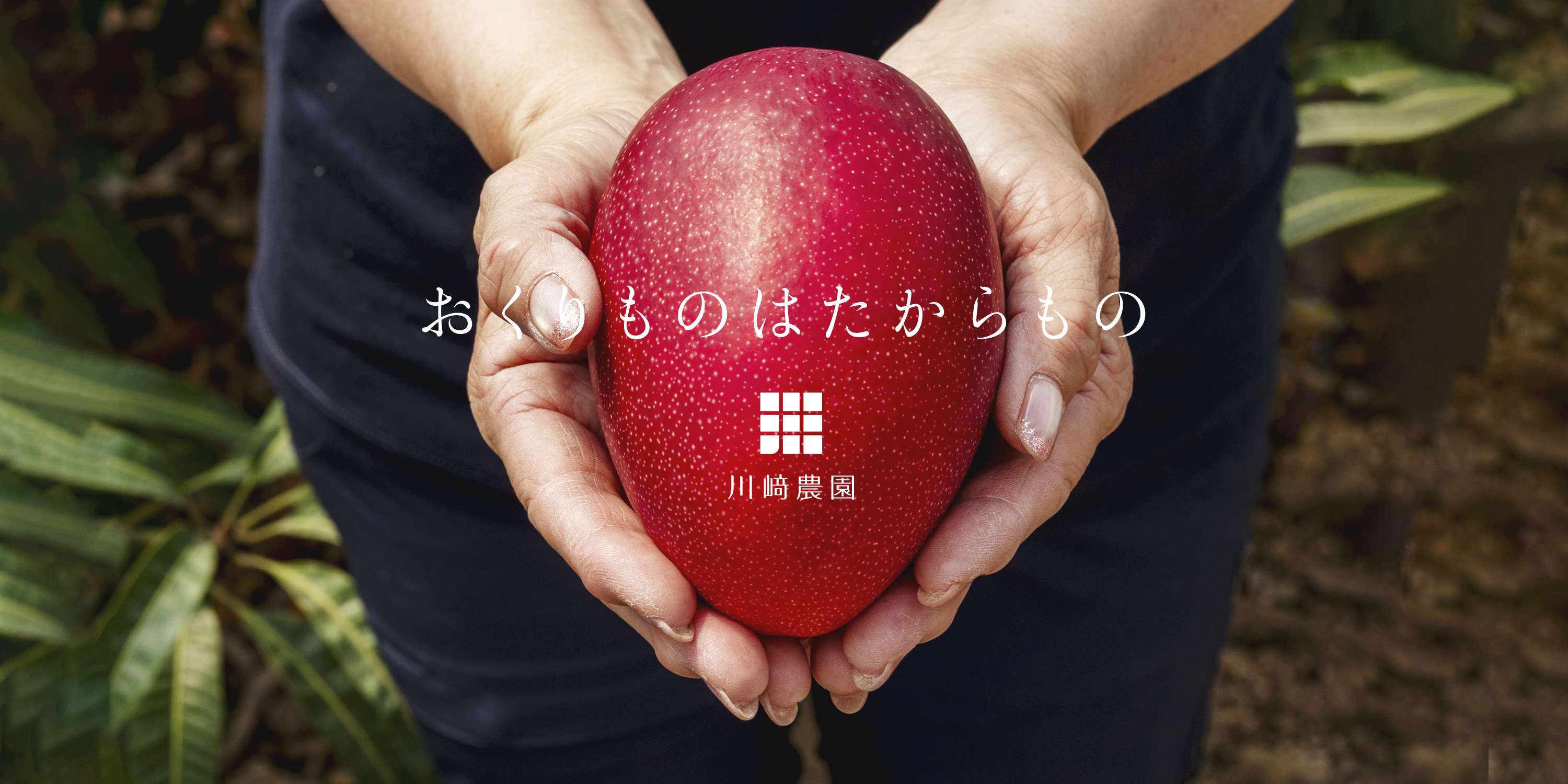 川﨑農園