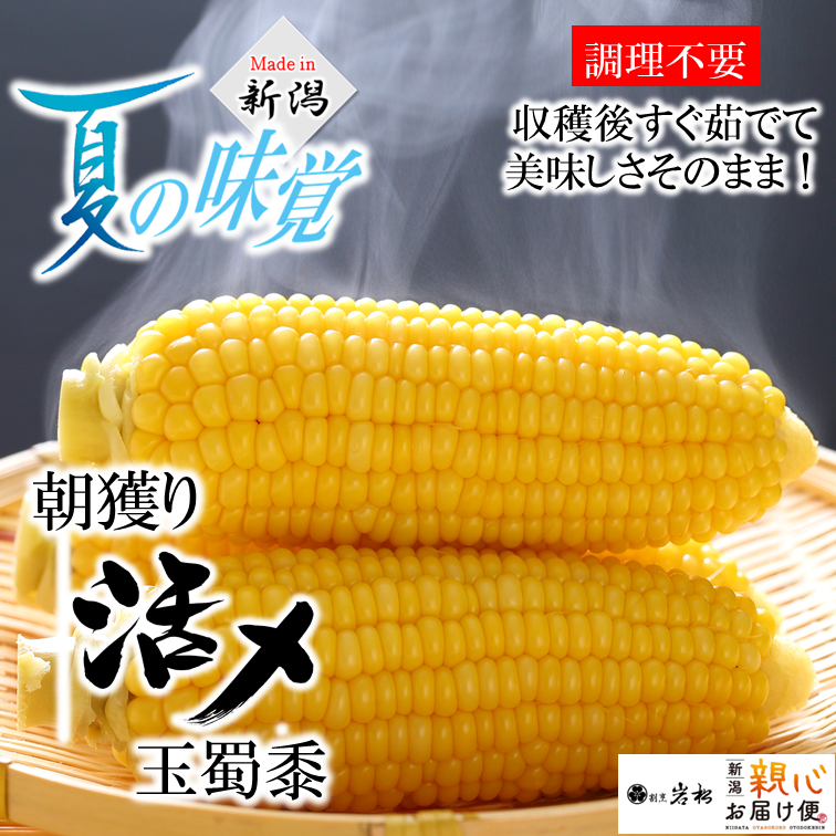 玉蜀黍