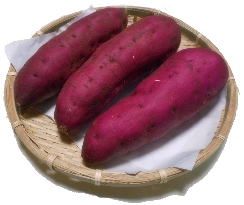 【サツマイモ】 さつまいも 金時いも 2.4kg M〜Lサイズ 送料無料 土佐金時 高知