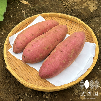 準備中】栗かぐや（5kg） | 富の川越いも 武直園