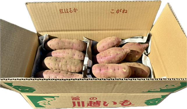 混合・詰め合わせ