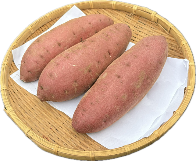 栗かぐや