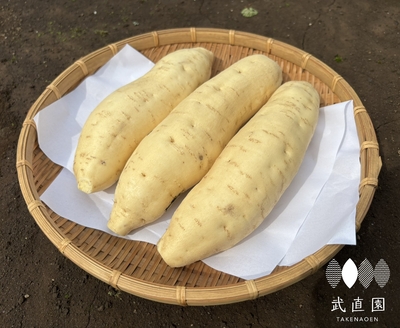 【準備中】きみまろこ(１０kg)