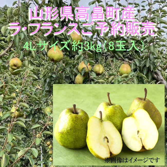 ご予約品】山形県高畠町産 ラ・フランス 【4L8玉入】 約3㎏ | クラブ