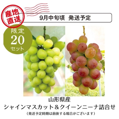 【産地直送】シャインマスカット＆クイーンニーナ詰合せ　（約700ｇ・約650ｇ）