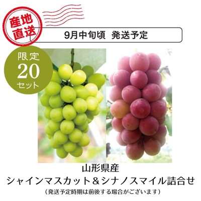 【ご予約・産地直送】シャインマスカット＆シナノスマイル詰合せ　（約700ｇ・約650ｇ）