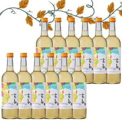 2025年高畠新酒白【甘口】12本セット