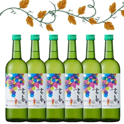 2025年高畠新酒白【辛口】6本セット