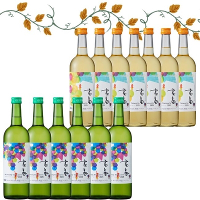 2025年高畠新酒白【甘口＆辛口】12本セット