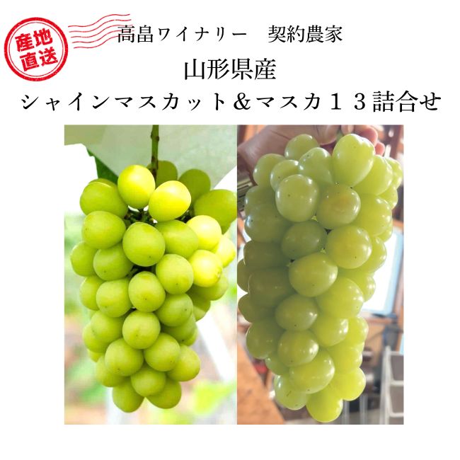 高級ぶどう予約販売】シャインマスカット＆マスカ13詰合せ | クラブ