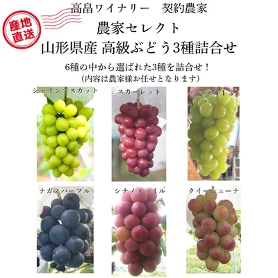 【高級ぶどう予約販売】農家セレクトぶどう3種詰合せ