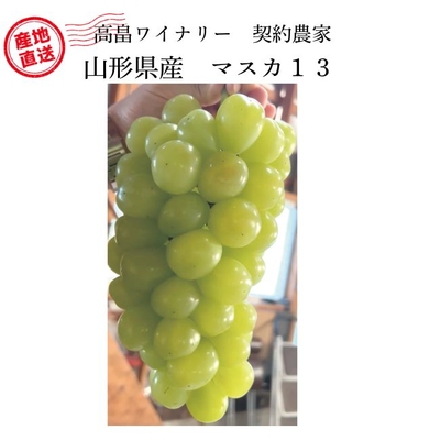 【高級ぶどう予約販売】　マスカ１３　（紙箱入）