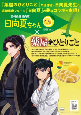 宮崎県産 日向夏2.5㎏（種少なめ）小説「薬屋のひとりごと」コラボ