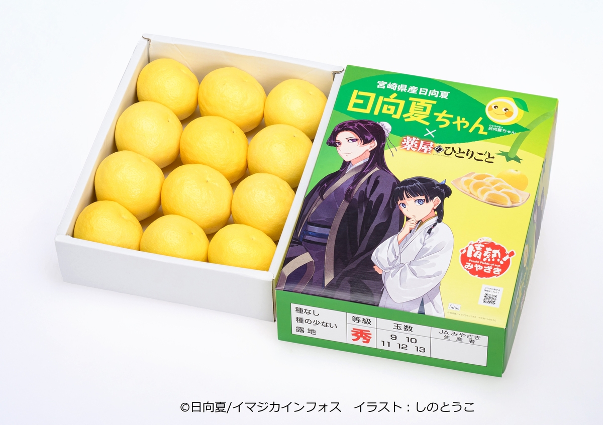 【数量限定・特別価格】宮崎県産　日向夏2.5㎏（種少なめ）小説「薬屋のひとりごと」コラボパッケージ