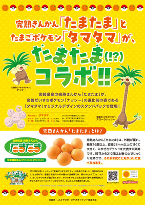 宮崎県産完熟きんかん「たまたま」ナッシーVer.【6袋入り】 | JAみやざき
