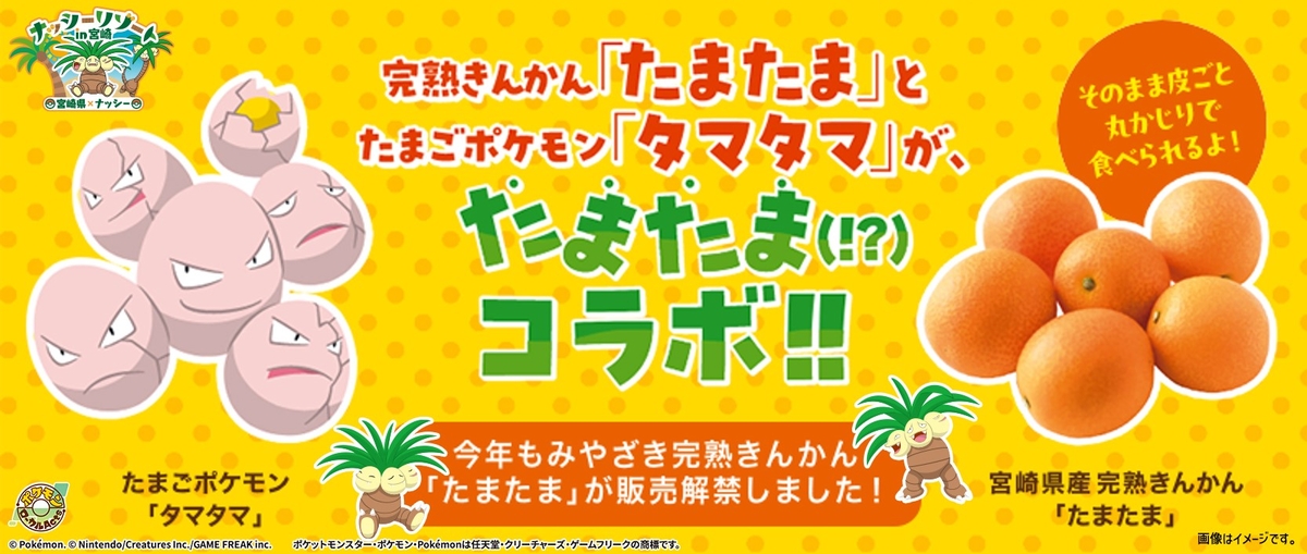 ☆お得な2箱セット☆【宮崎県産】完熟きんかん「たまたま」20玉入り