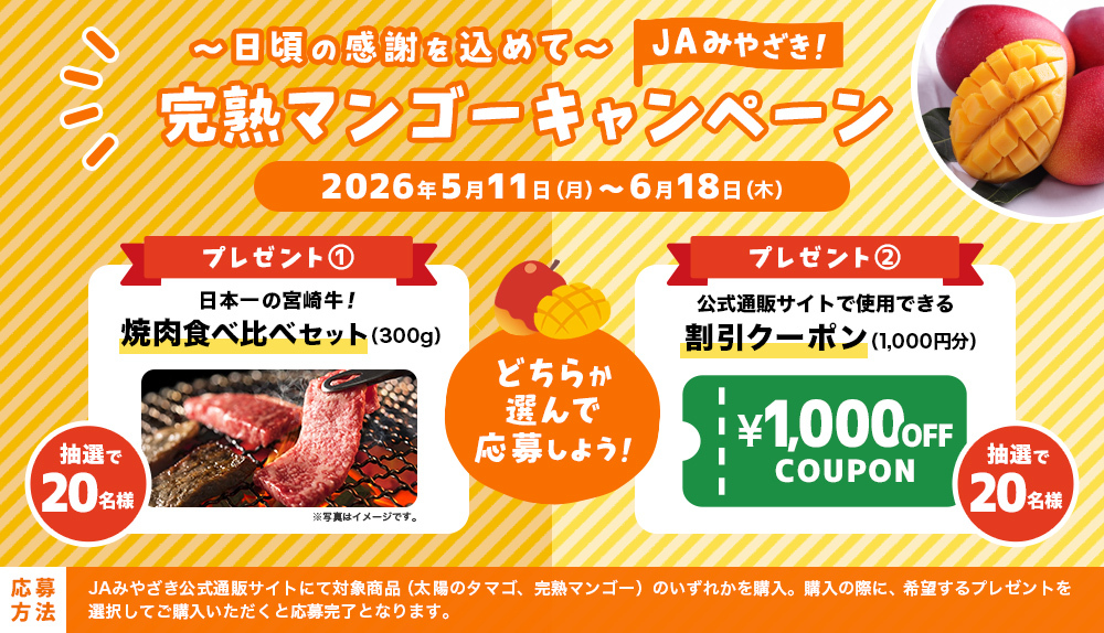 みやざき完熟マンゴー「太陽のタマゴ」【3Lサイズ・2玉入】 | JAみやざき