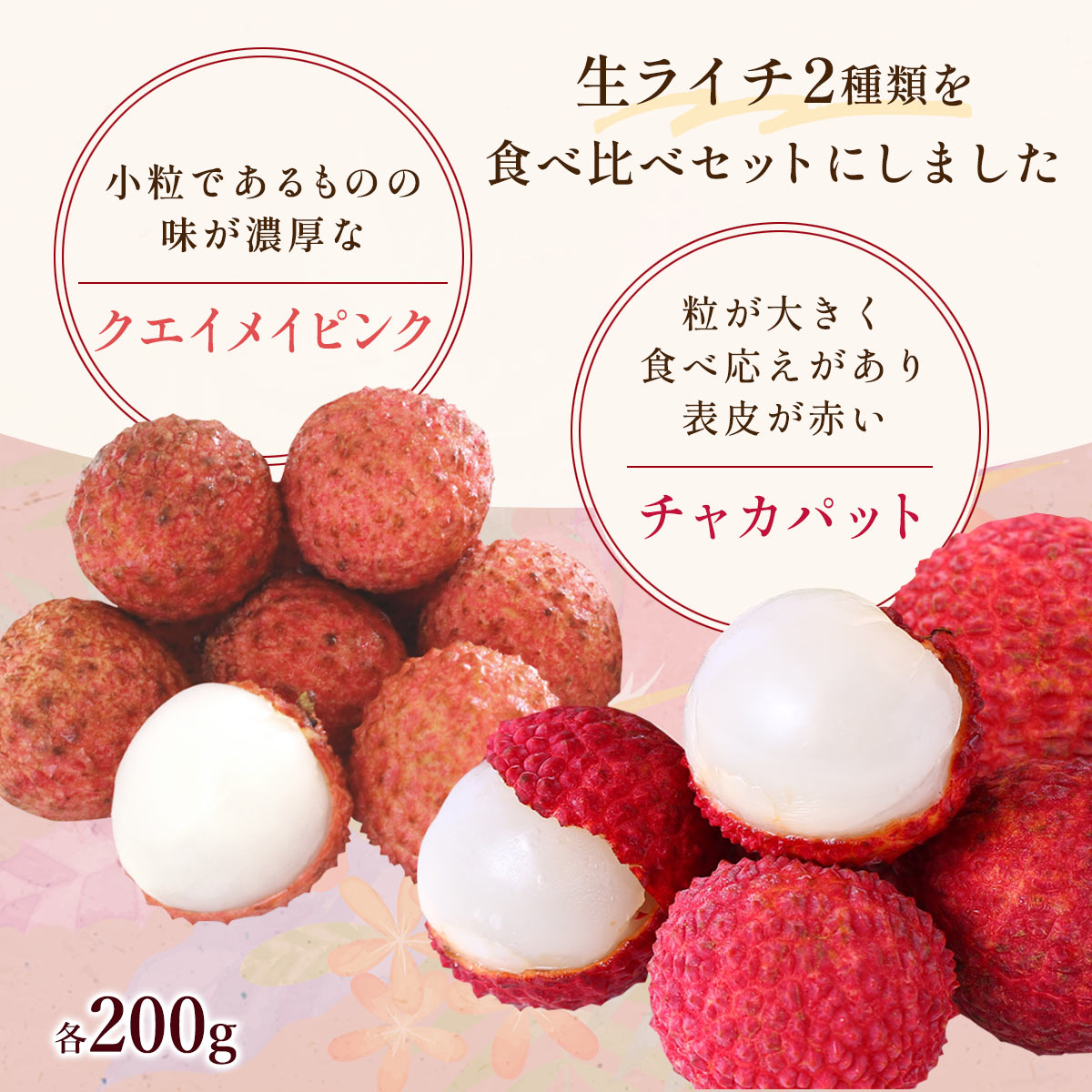 宮崎県産ライチ2品種食べ比べセット | JAみやざき