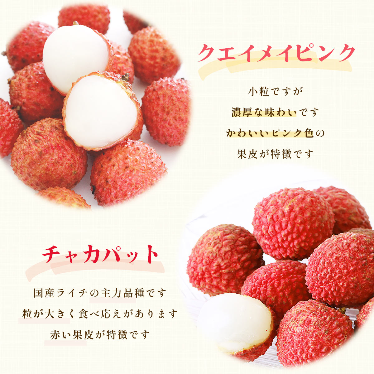 宮崎県産ライチ2品種食べ比べセット | JAみやざき