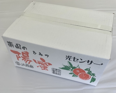 宮崎県産 マルチ栽培みかん 南国の陽蜜（ひみつみかん）５㎏