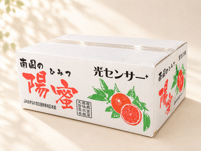 宮崎県産 マルチ栽培みかん 南国の陽蜜（ひみつみかん）５㎏