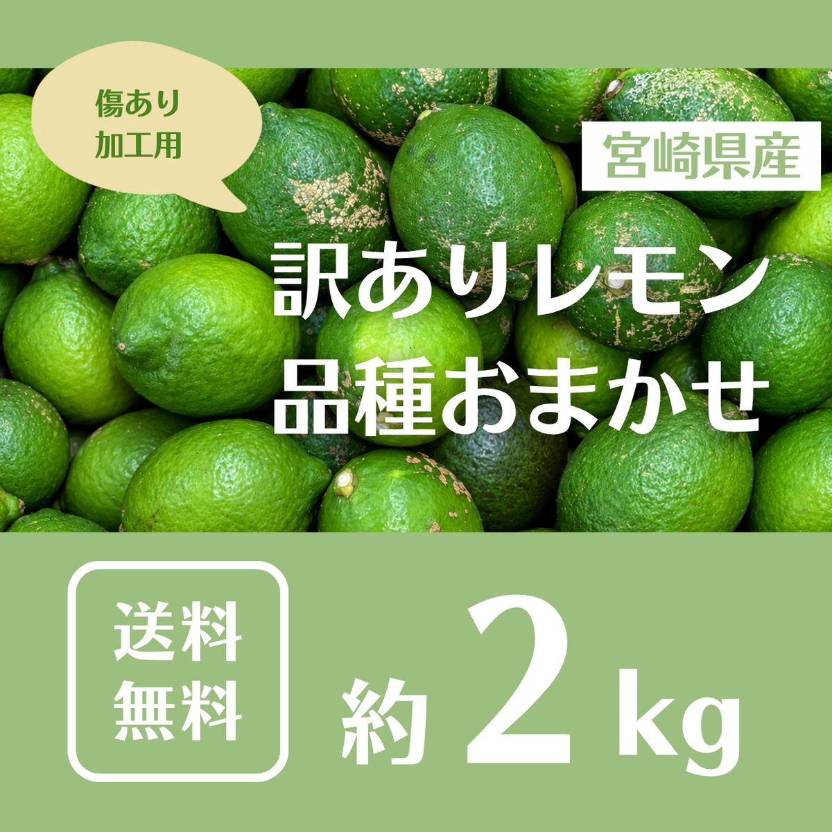 【訳あり】宮崎県産レモン ２kgＤＢ＜送料・消費税込＞
