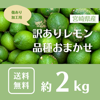 【訳あり】宮崎県産レモン ２kgＤＢ＜送料・消費税込＞