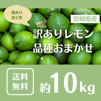 JAみやざき 公式通販サイト