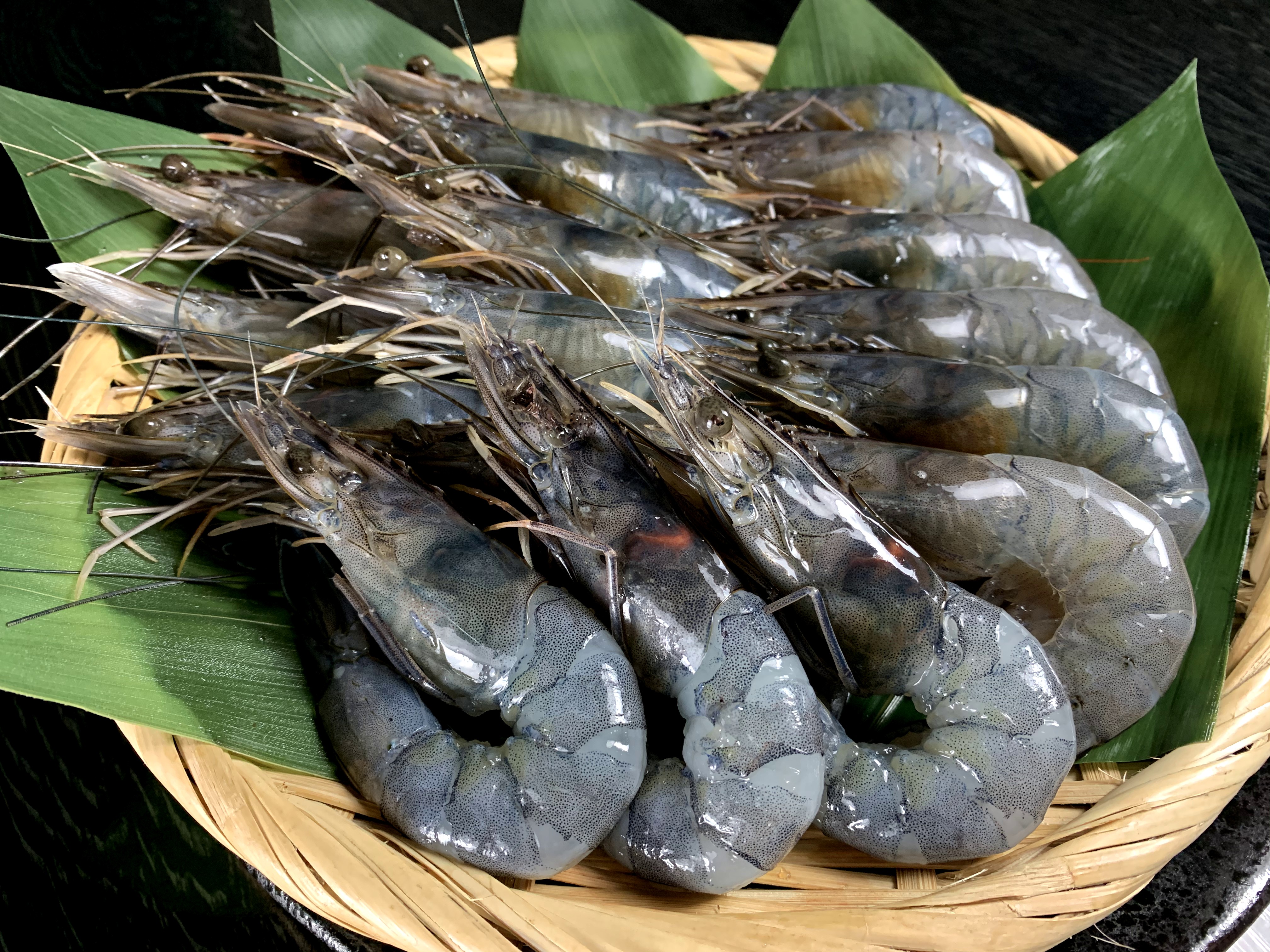 天使の海老 １ 30 40尾 仙台水産グループ海鮮市場