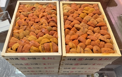 丸臣加藤四島赤バラ