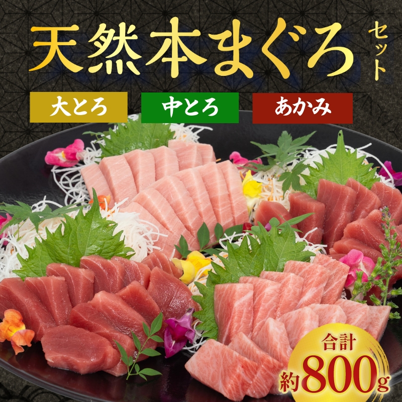 極寒本鮪(天然本まぐろ)セットA 赤身約200g×2、中とろ約200g×1