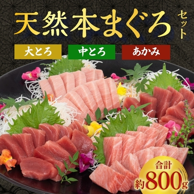 【お中元に】極寒本鮪(天然本まぐろ)セットA　赤身約200g×2、中とろ約200g×1、大とろ約200g×1