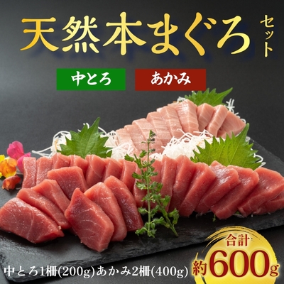 極寒本鮪(天然本まぐろ)セットB　赤身約200g×2、中とろ約200g×１