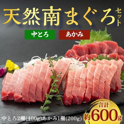 流氷南鮪(天然南まぐろ)セットB　赤身約200g×1、中とろ約200g×2
