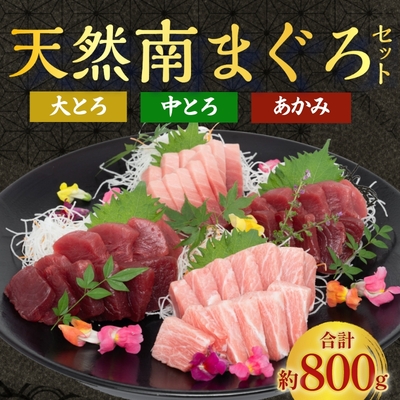 流氷南鮪(天然南まぐろ)セットA　赤身約200g×2、中とろ約200g×１、大とろ約200g×１