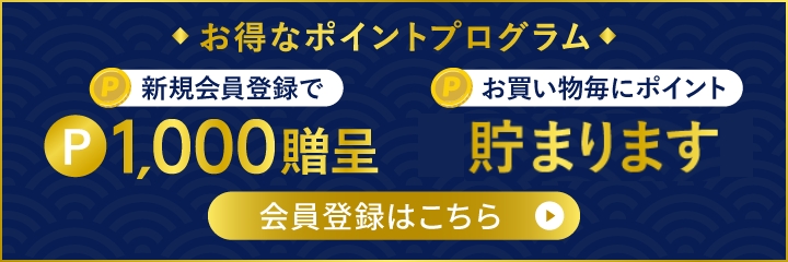 ポイントについて
