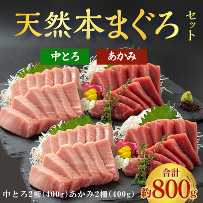 【ギフトに】極寒本鮪(天然本まぐろ)セット大容量　赤身約200g×2、中とろ約200g×2