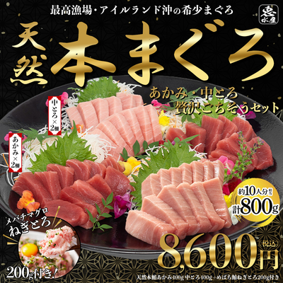 【年末限定】天然本まぐろごちそうセット　あかみ約200g×2、中とろ約200g×2、ねぎとろ100g×2