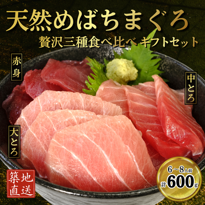 【父の日おすすめ】天然めばちまぐろ食べ比べセット　赤身約200g&times;1、中とろ約200g&times;1、大とろ約200g&times;1