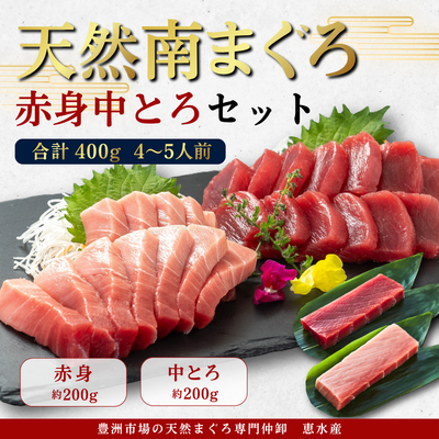 流氷南鮪(天然南まぐろ)セットC　赤身約200g&times;1、中とろ約200g&times;１