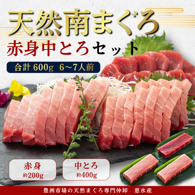 流氷南鮪(天然南まぐろ)セットB　赤身約200g&times;1、中とろ約200g&times;2