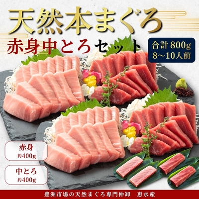 【ギフトに】極寒本鮪(天然本まぐろ)セット大容量　赤身約200g&times;2、中とろ約200g&times;2
