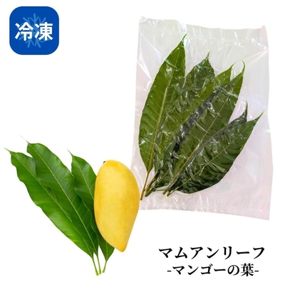 【冷凍】マンゴーリーフ（マンゴーの葉）40g
